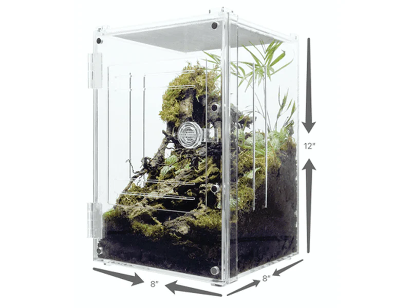 Herpcult Acrylic Enclosure Front-Opening Small (With slits and lock) 8"x8"x12"