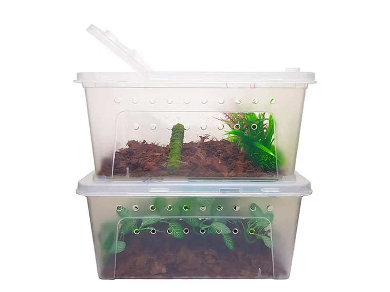 Herpcult Large Breeding Box